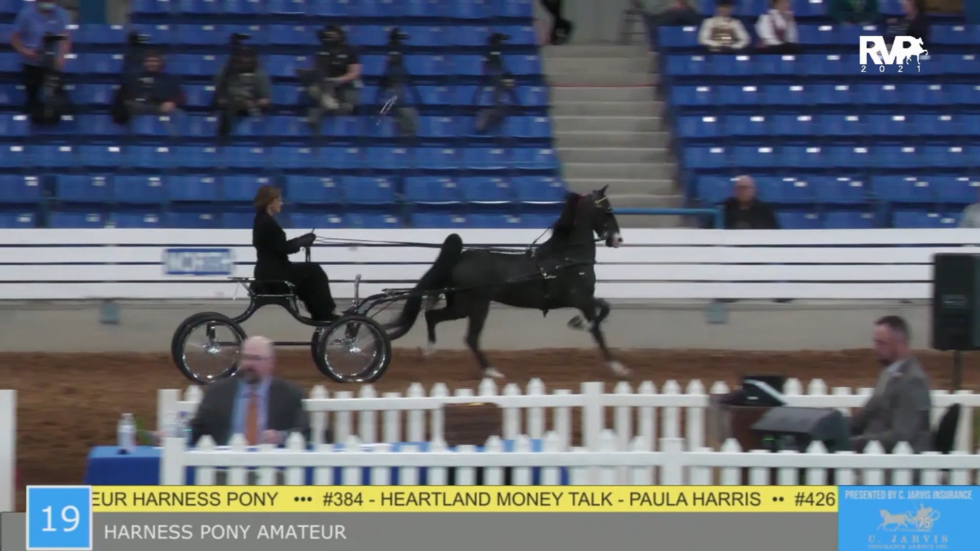 SSSF21 - Class 19 - Harness Pony Amateur