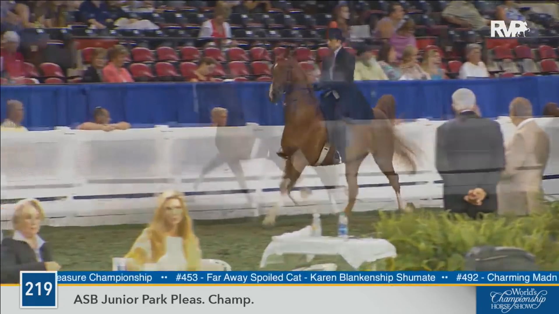 2016 WCHS - Class 219 ASB Junior Park Pleasure
Championship