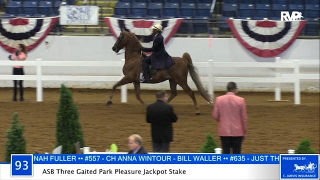 2020 BB - Class 93 ASB Three Gaited P...