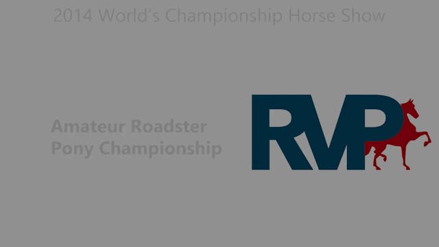 WCHS14 - Class 206 - Amateur Roadster...