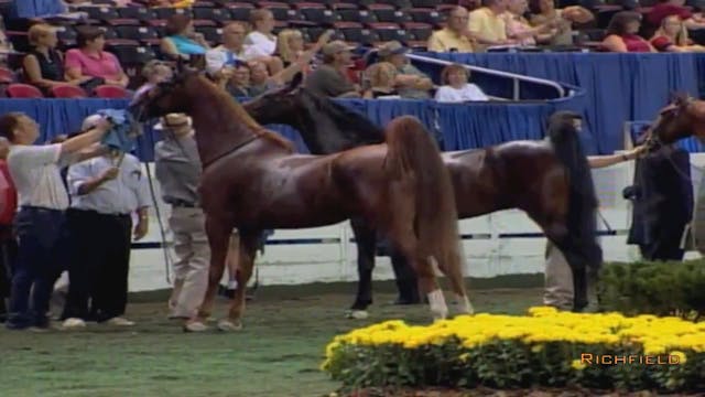 2002 WCHS Class 163 Junior Exhibitor ...
