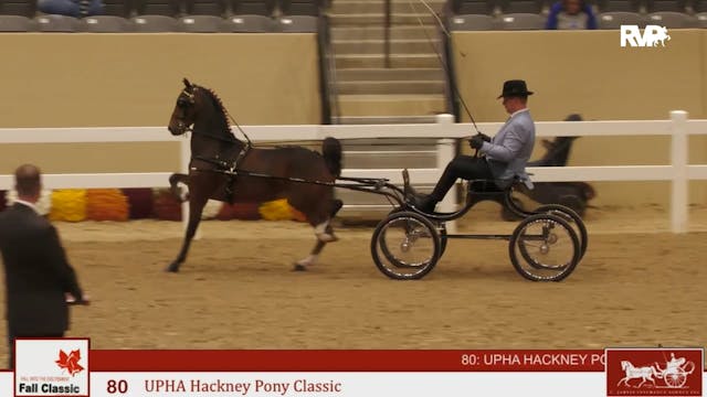 KFC24 - Class 80 - UPHA Hackney Pony ...