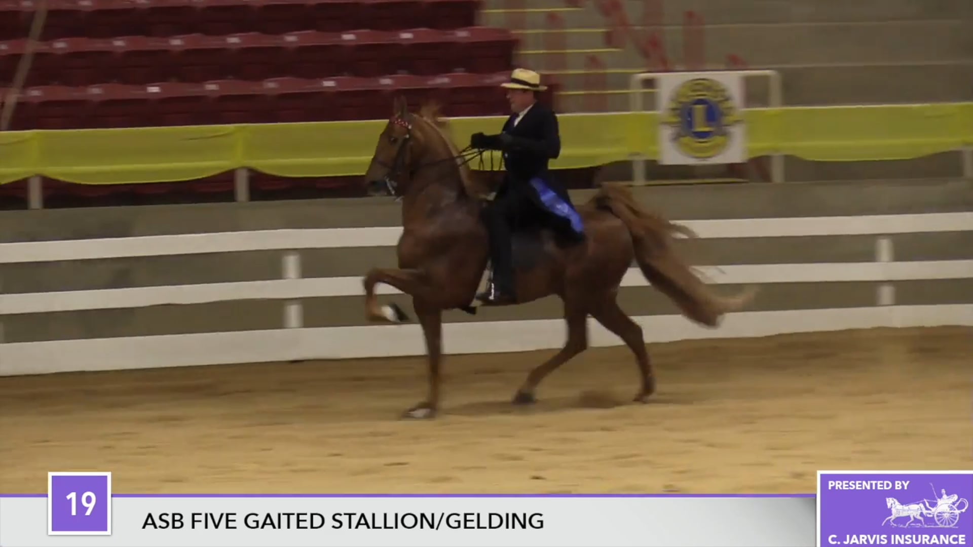 ALCB17 - CH Bravo Blue 