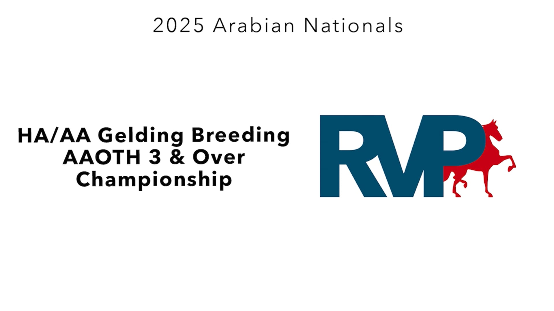 AN25 - Class 3112 - HA-AA Gelding Breeding AAOTH 3 & Over Championship