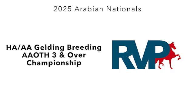 AN25 - Class 3112 - HA-AA Gelding Bre...