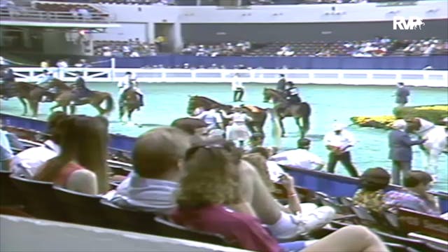 1991 WCHS Class 22 ASHA National Thre...