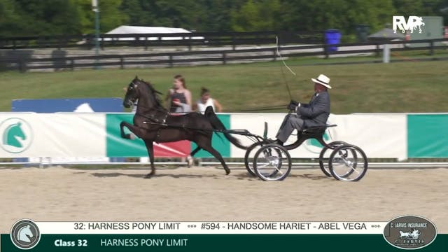 LJL22 - Class 32 - Harness Pony Limit