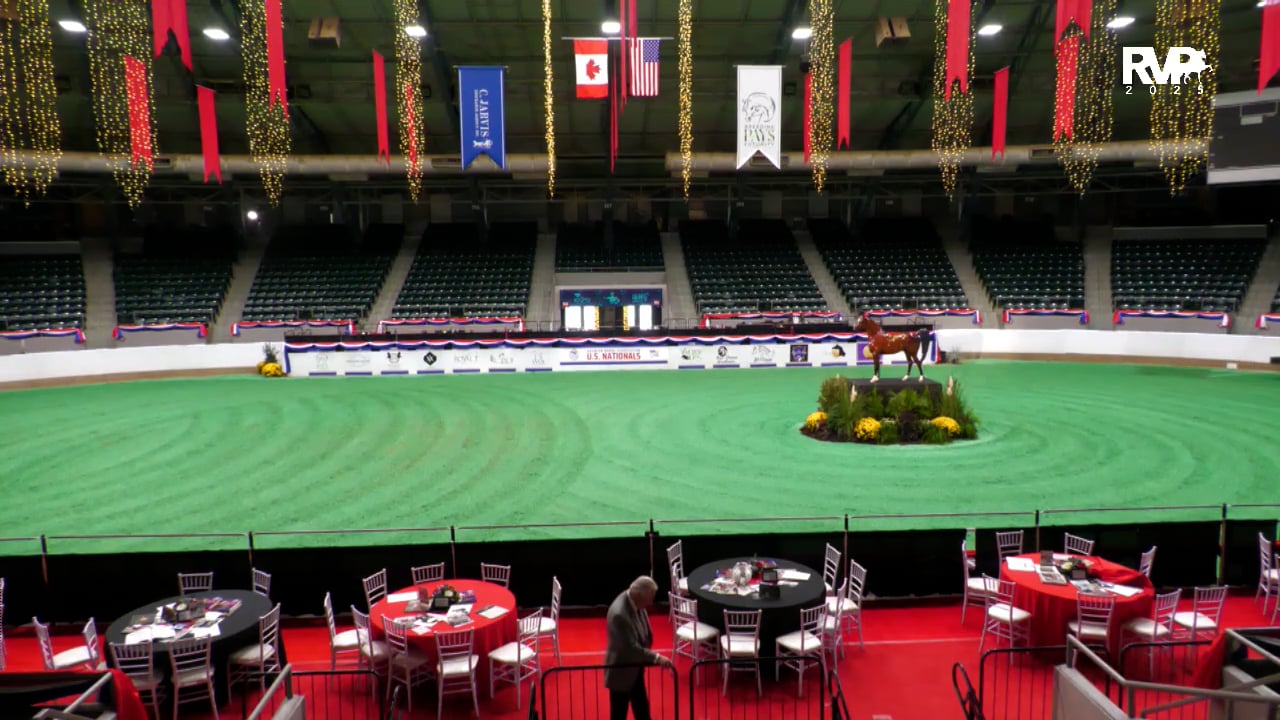 2025 Arabian Nationals - Thursday Morning - Pavilion