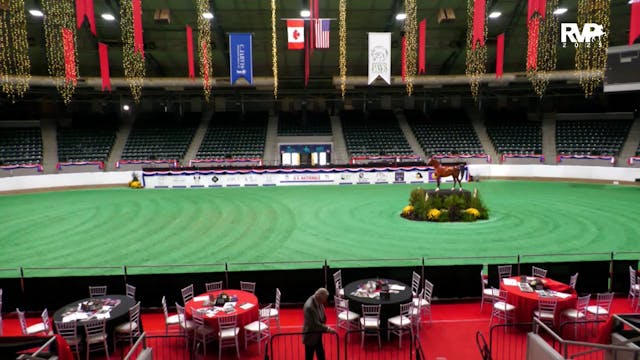 2025 Arabian Nationals - Thursday Mor...