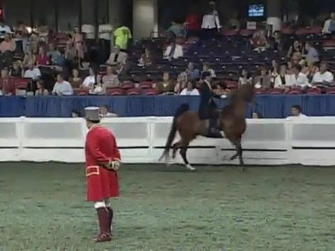 2008 WCHS Class 161 Senior Equitation...