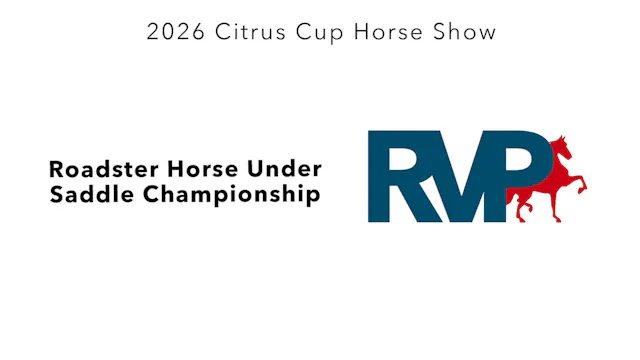 CC26 - Class 194 - Roadster Horse Und...