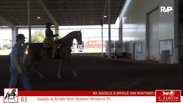 ProAm26 - Class 83 - Saddle & Bridle ...