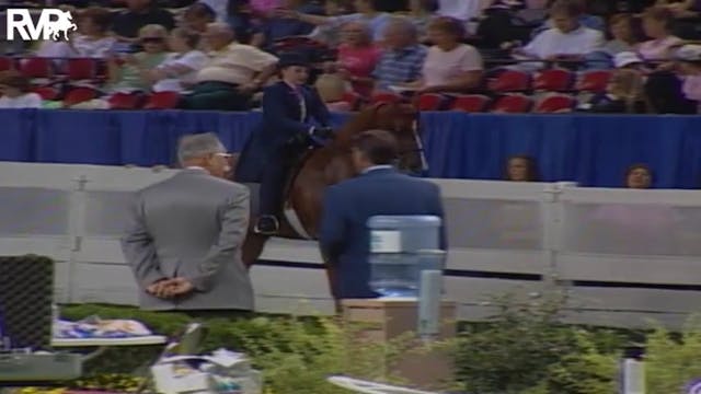 2004 World's Championship Horse Show ...