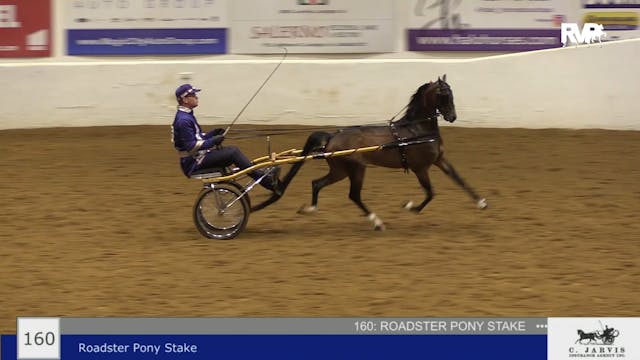 BB22 - Class 160 -  Roadster Pony Stake