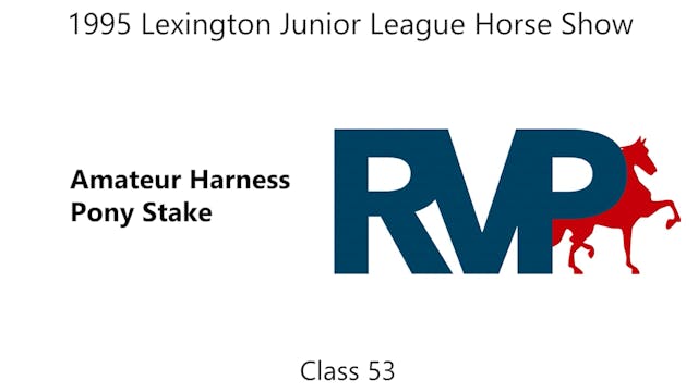 LJL 1995 - Class 53 - Amateur Harness...