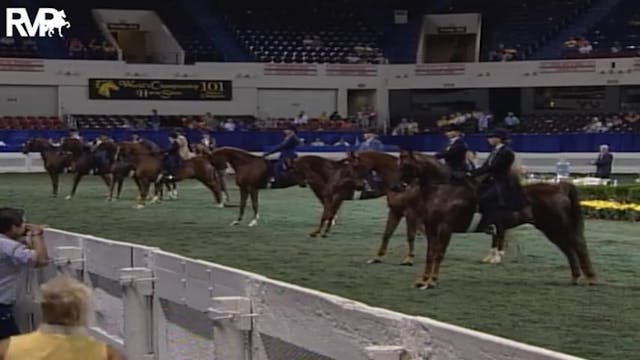 2004 World's Championship Horse Show ...