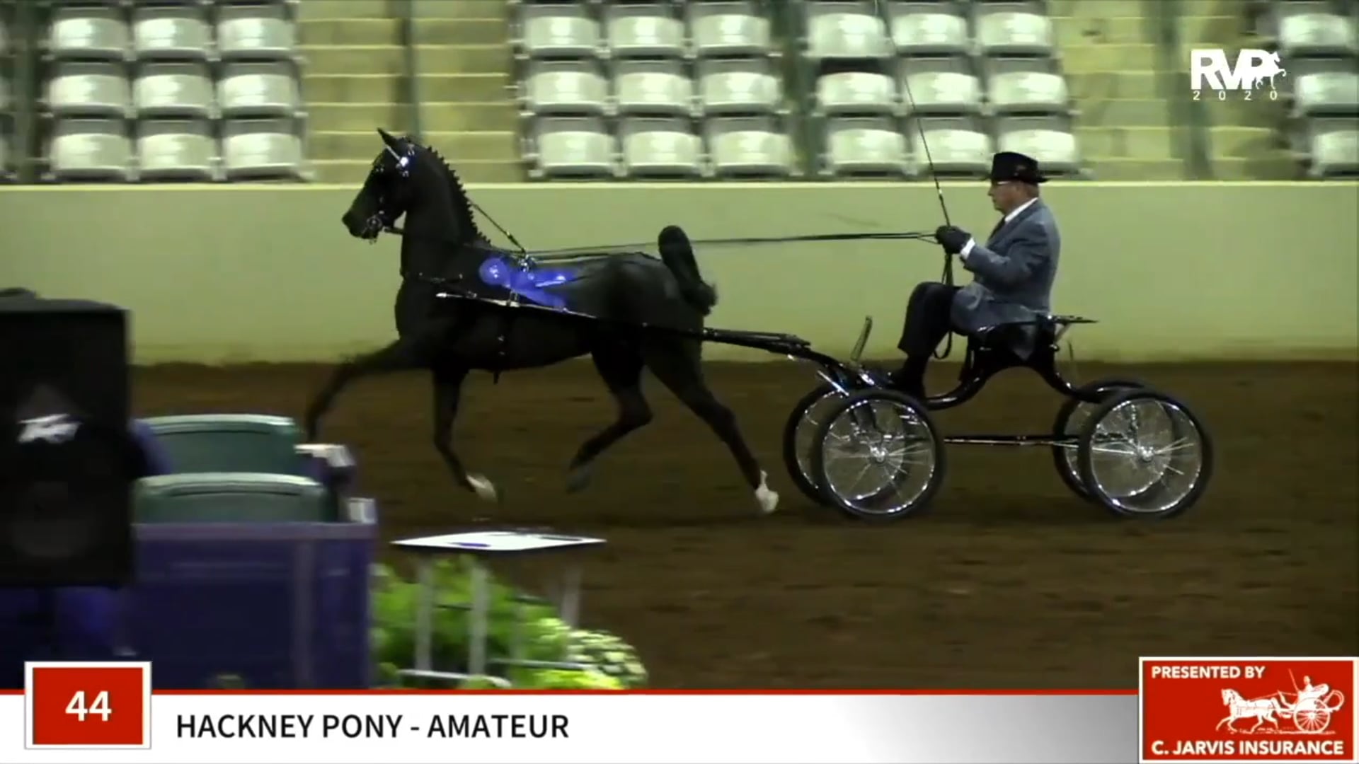 2020 Southern Saddlebred Fall Finale - Friday Morning