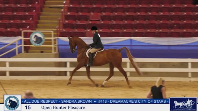 ASF25 - Class 15 - Open Hunter Pleasure