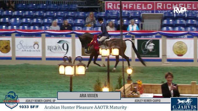 AN25 - Class 1033 - Aria Vixxen and A...