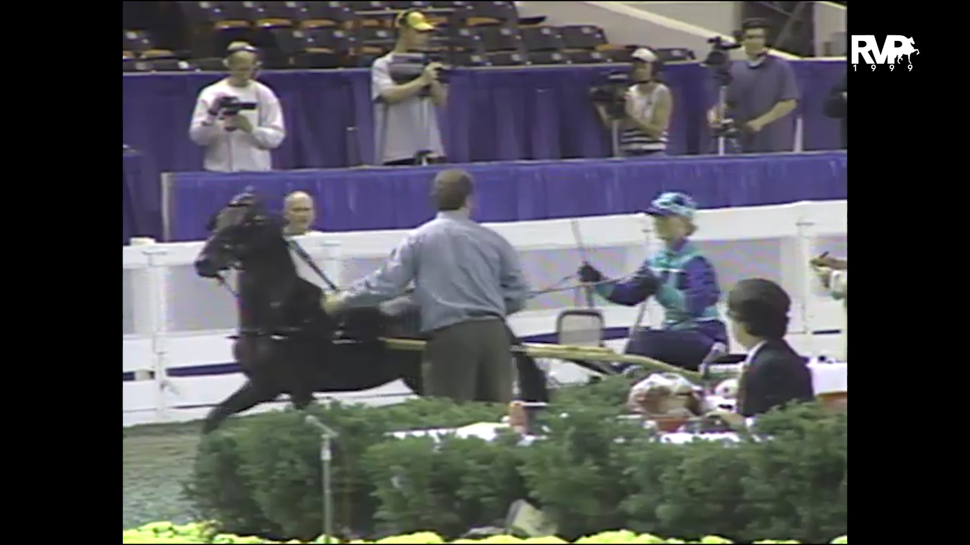 1999 WCHS - Class 112 Three Year Old Roadster Pony