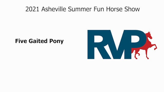 ASF21 - Class 17 - Five Gaited Pony