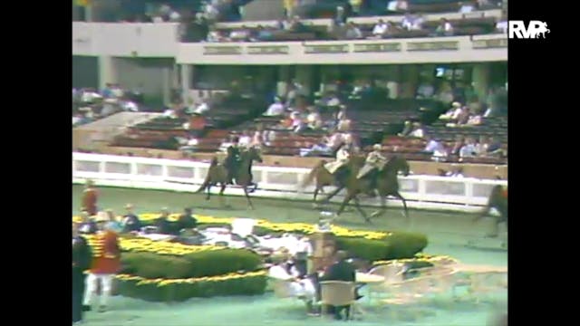 1988 WCHS Class 98 Five Gaited Junior...