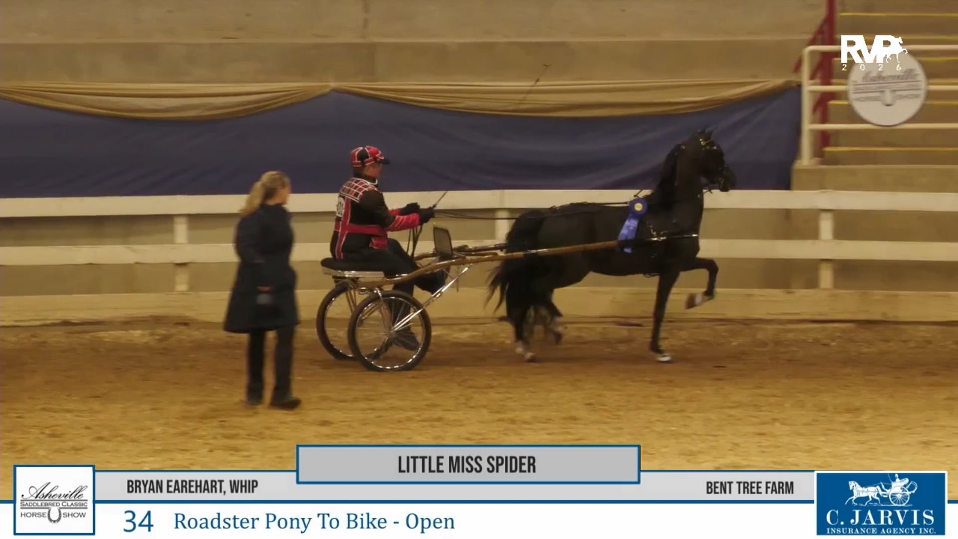 ASC26 - Class 34 - Little Miss Spider and Bryan Earehart, Whip