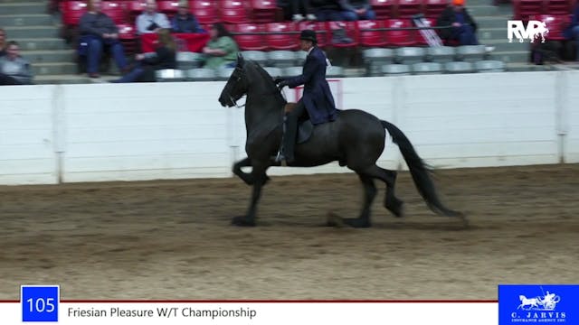 RR22 - Class 105 -  Friesian Pleasure...