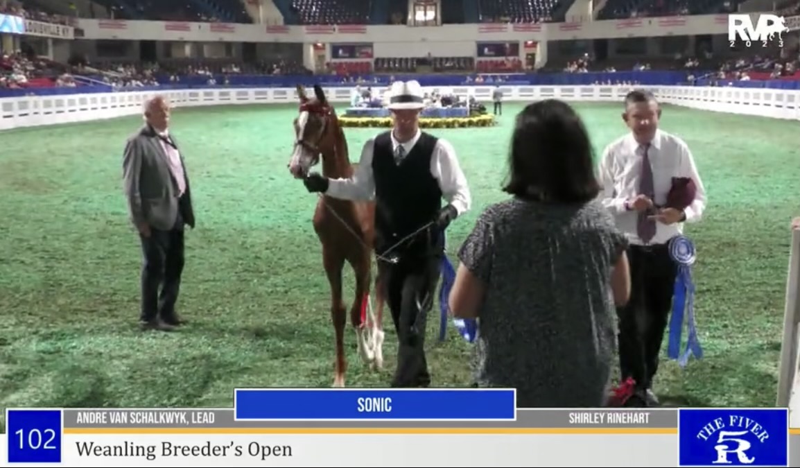 2023 World Championship Horse Show - Tuesday Morning