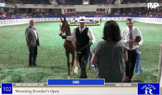 2023 World Championship Horse Show - ...