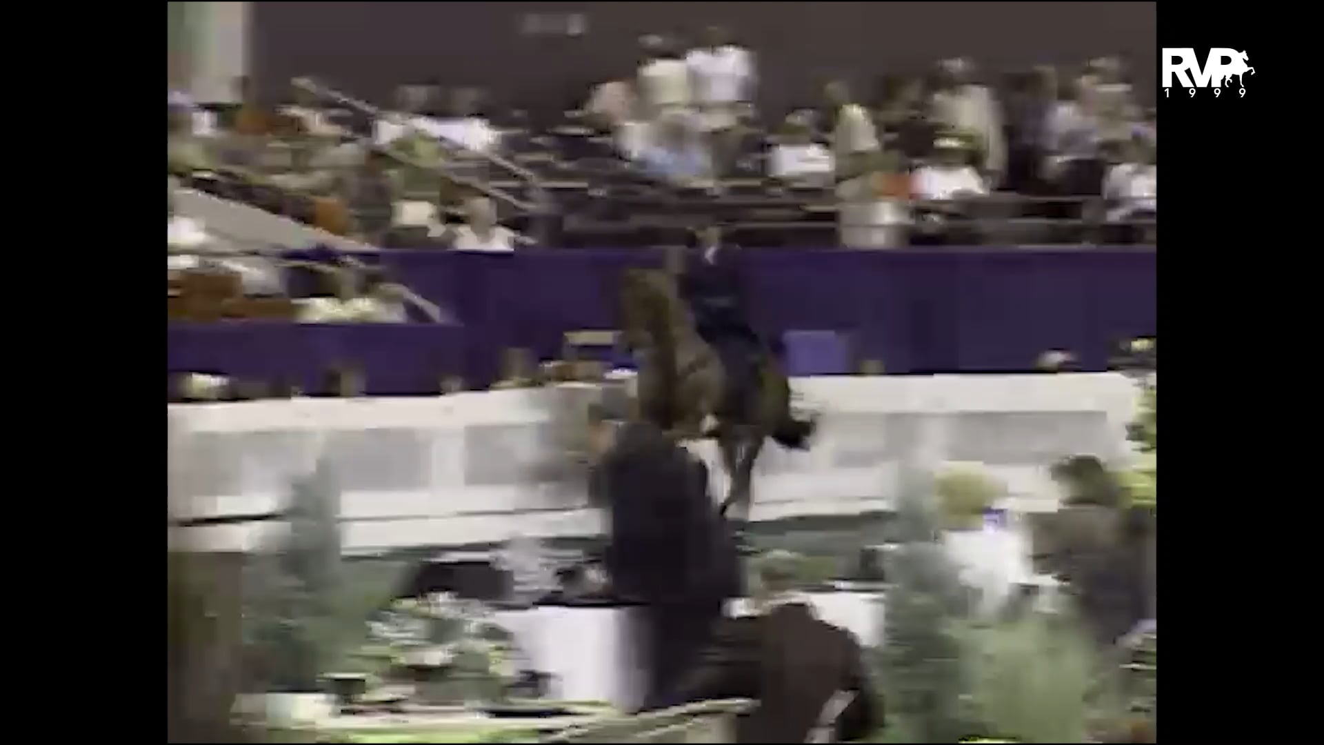 1999 WCHS - Class 47 Junior Three Gaited 15.2 & Under Stake