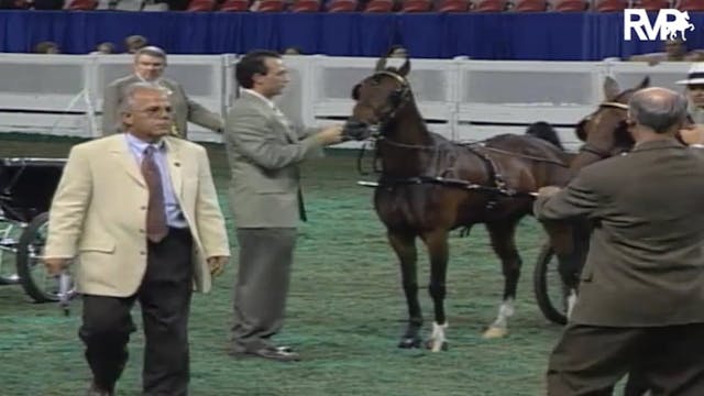 2004 World's Championship Horse Show ...