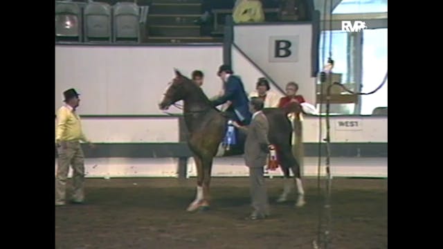 1988 Des Moines Spring Horse Show - E...