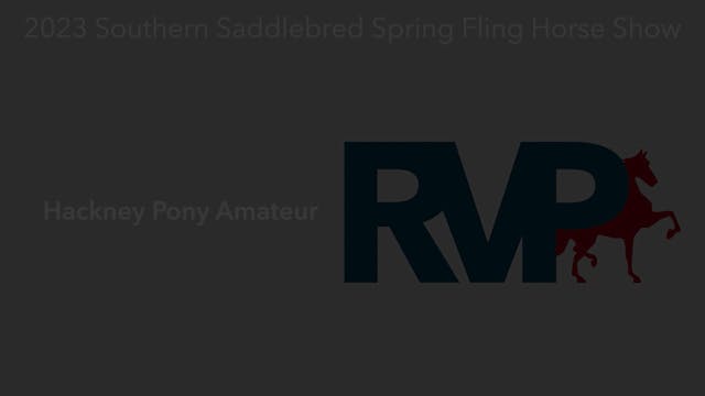 RR23 - Class 14 - Hackney Pony Amateur