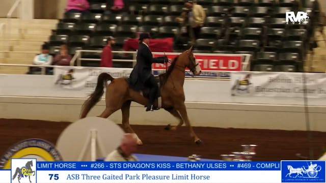 ProAm24 - Class 75 - ASB Three Gaited...