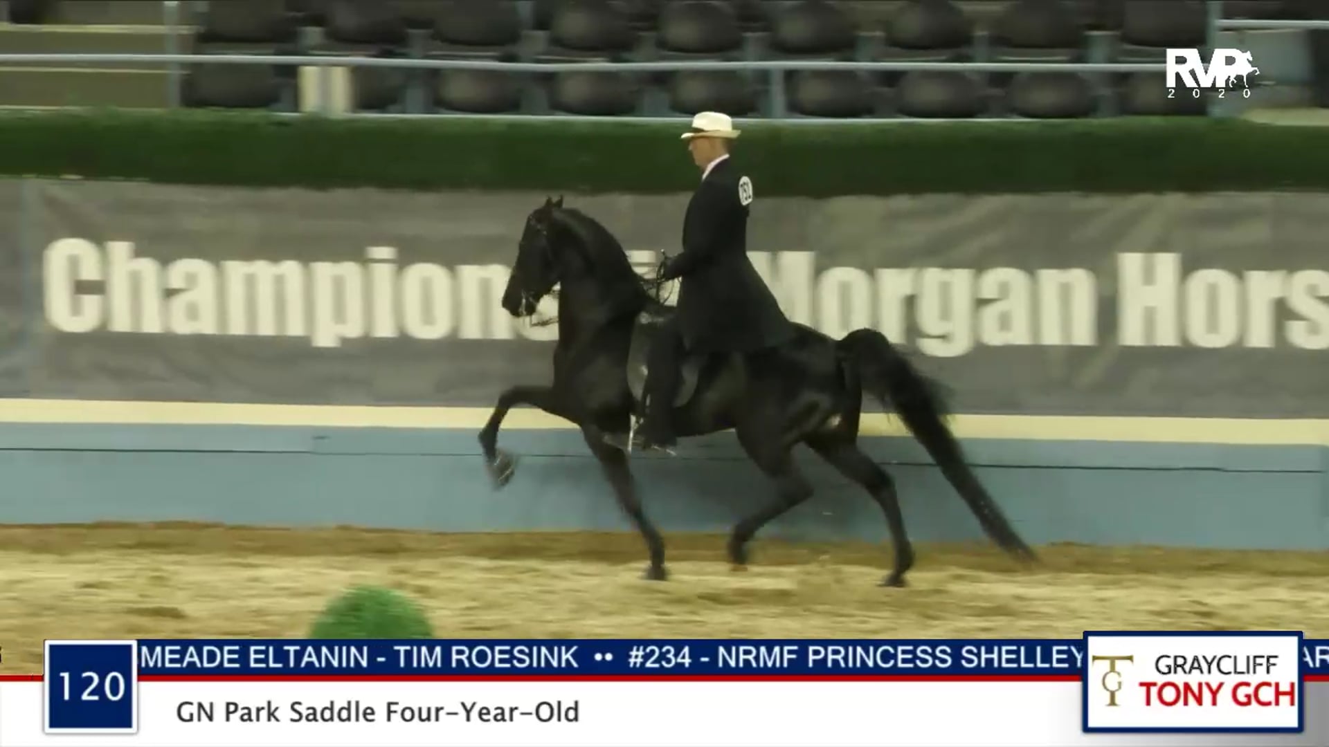 2020 MGN - 120 GN Park Saddle Four-Year-Old