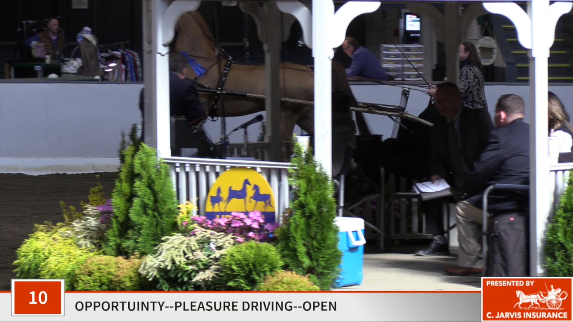 UPHA14-19 - Class 10 - Undulata's Legends Of The Fall