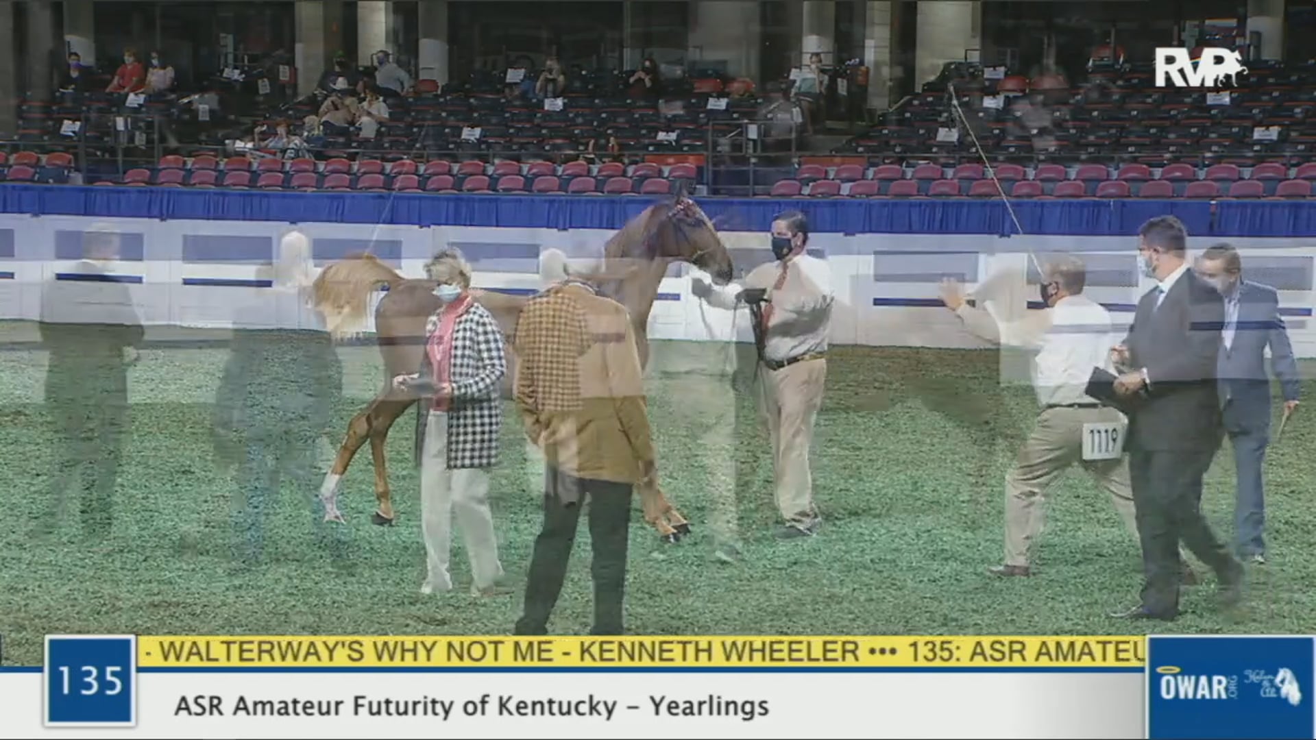 WCHS 2020 Class 135 - ASR Amateur Futurity of Kentucky - Yearlings