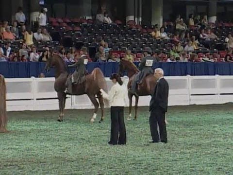 2008 WCHS Class 67 12 Yr Old Saddle S...