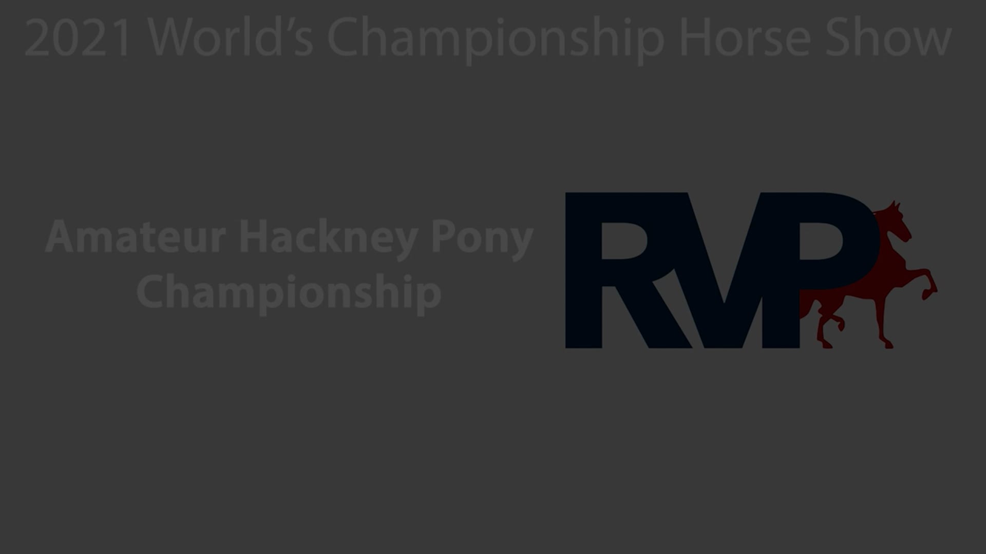 WCHS21 - Class 204 - Amateur Hackney Pony Championship