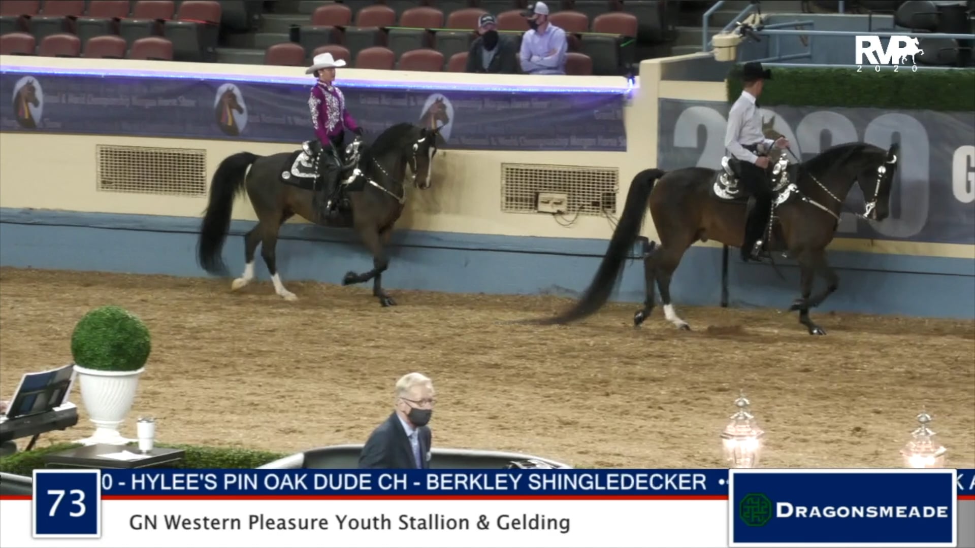 2020 MGN - Class 73 GN Western Pleasure Youth Stallion & Gelding