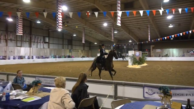 GASP17 - Ridin' High - Championship