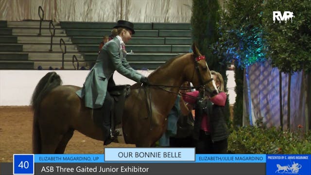 GASP21 - Class 40 - ASB Three Gaited ...