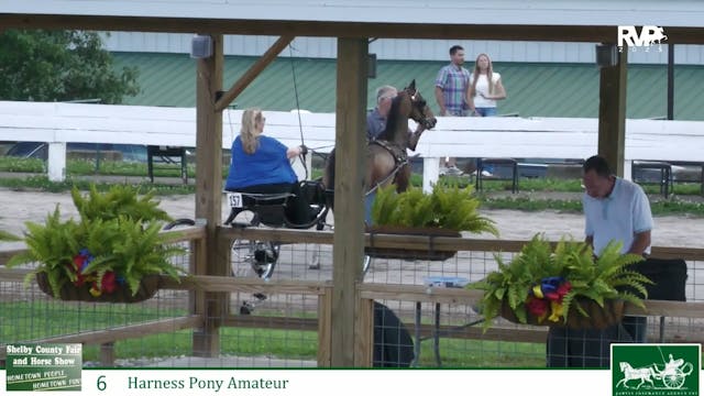 SCF25 - Class 6 - Harness Pony Amateur