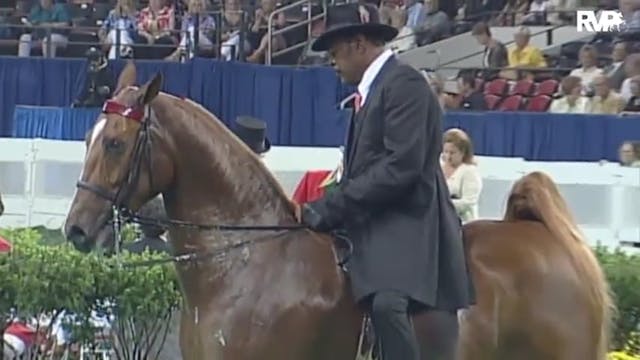 2010 World's Championship Horse Show ...