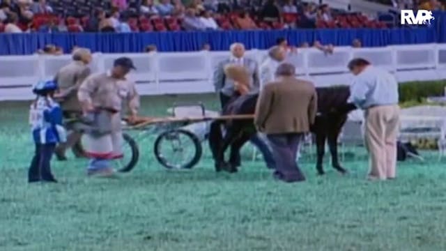 2009 World's Championship Horse Show ...