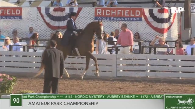2016 RC - Class 90 Amateur Park Champ...