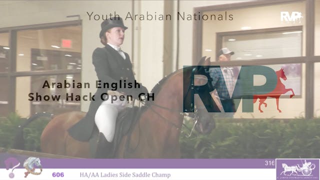 YAN24 - Class 316 - Arabian English S...