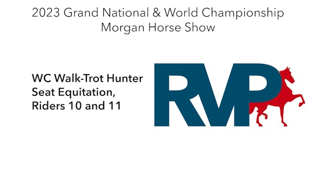 MGN23 - Class 381.1 - WC Walk-Trot Hu...