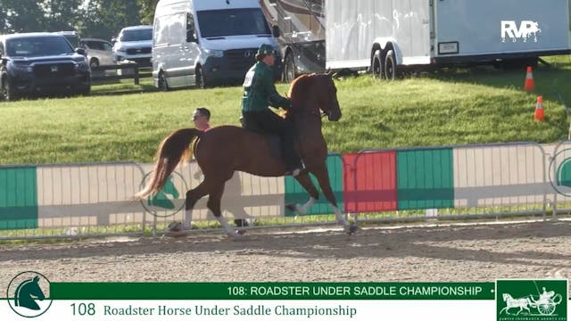 LJL25 - Class 108 - Roadster Horse Un...